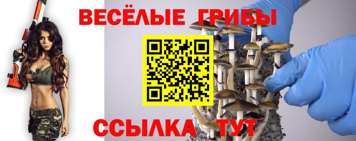 Псилоцибиновые грибы MAGIC MUSHROOMS Соликамск